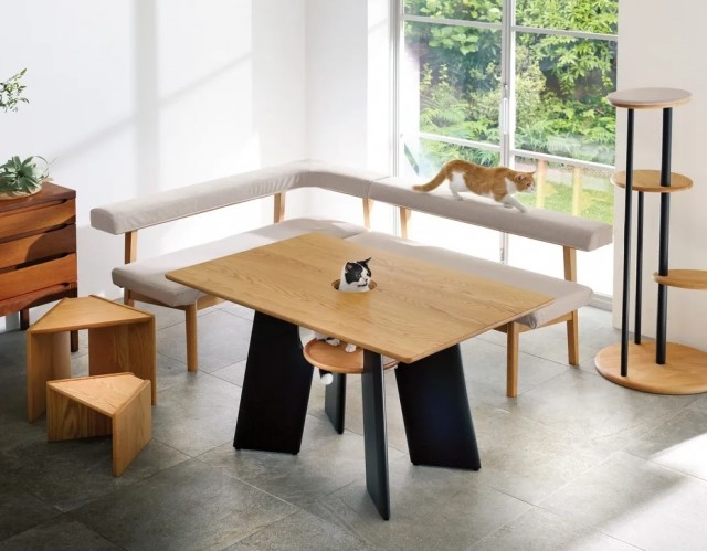 В Японии выпустили стол с отверстием для кота — чтобы обедать вместе с питомцем