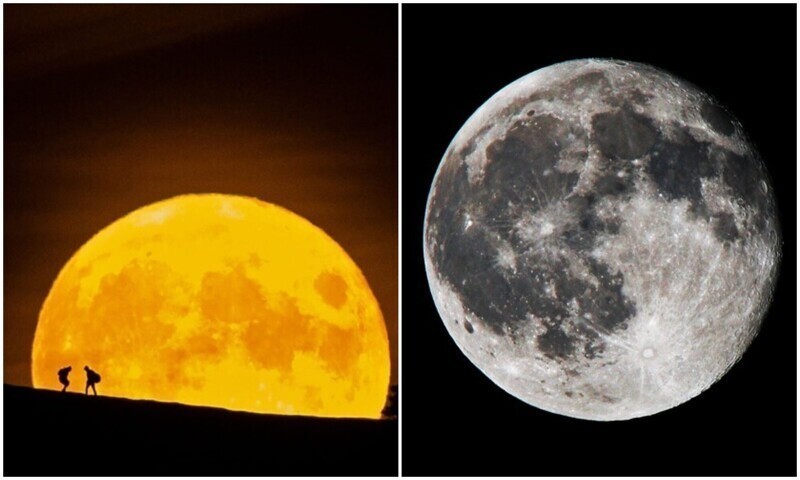10 неожиданных фактов о всеми любимой Луне