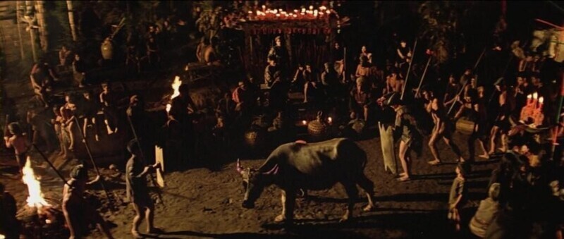 На съемках "Апокалипсис сегодня" (1979) засняли реальный ритуал с убийством жертвенного быка. Животное уже было помечено для жертвоприношения местным племенем