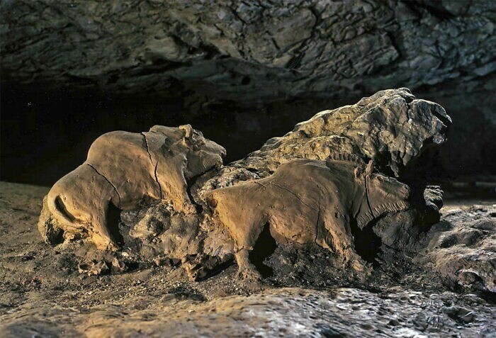 17. Скульптуры зубров, найденные в пещере Ле Тюк д'Одубер. Арьеж, Франция
